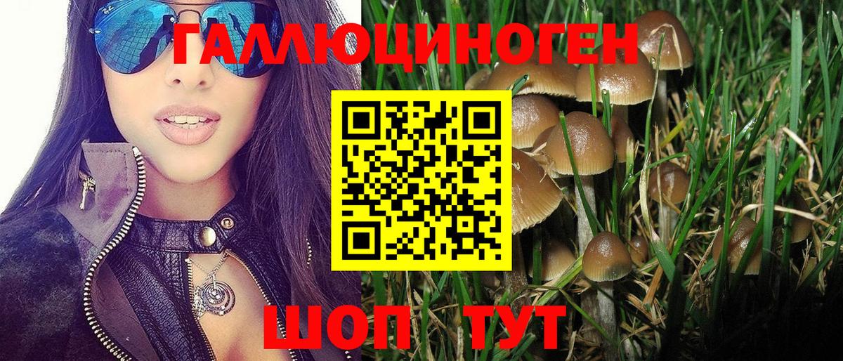 Галлюциногенные грибы мухоморы Рубцовск