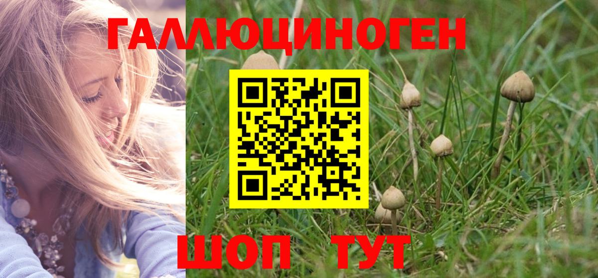 Галлюциногенные грибы GOLDEN TEACHER  Вход с VPN  Рубцовск 
